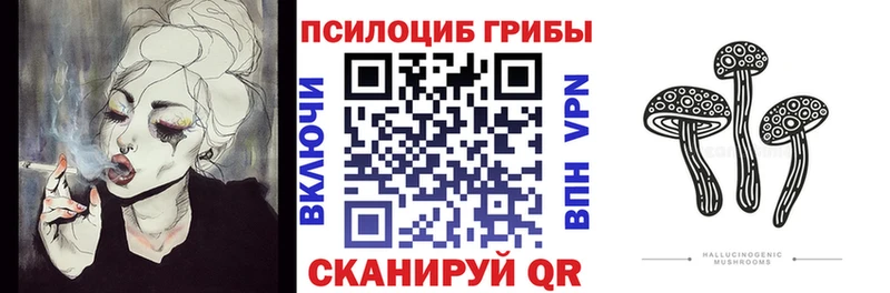 Псилоцибиновые грибы Cubensis  Новое Девяткино 